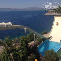 фото из отзыва ID 1564085