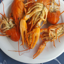 фото из отзыва ID 1564285