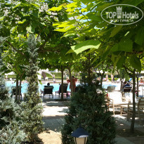 фото из отзыва ID 1564406