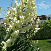 фото из отзыва ID 1564406