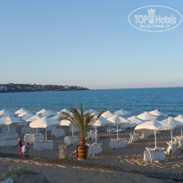 фото из отзыва ID 1564406