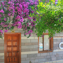 фото из отзыва ID 1563511