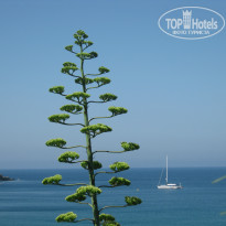 фото из отзыва ID 1561624