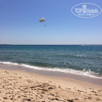 фото из отзыва ID 1564650