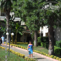 фото из отзыва ID 1564705