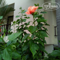 фото из отзыва ID 1564765