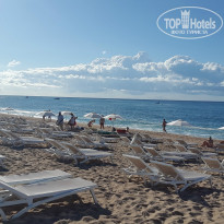 фото из отзыва ID 1564667