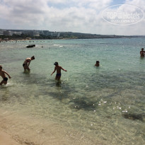 фото из отзыва ID 1564816