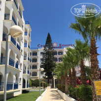 фото из отзыва ID 1564824