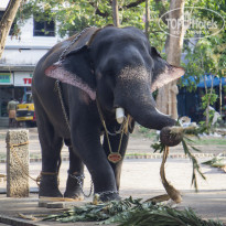 фото из отзыва ID 1565151