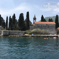 фото из отзыва ID 1565484