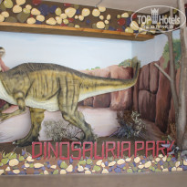 фото из отзыва ID 1565494