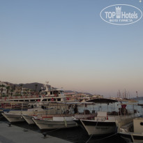 фото из отзыва ID 1565702