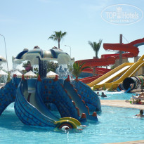 фото из отзыва ID 1565735