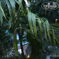 фото из отзыва ID 1565809