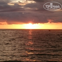 фото из отзыва ID 1565809