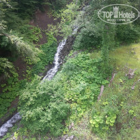 фото из отзыва ID 1565912