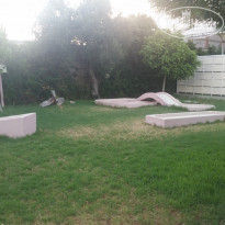 фото из отзыва ID 1566033