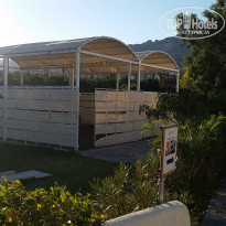 фото из отзыва ID 1566033