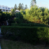 фото из отзыва ID 1566033