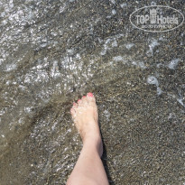 фото из отзыва ID 1566038