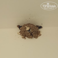 фото из отзыва ID 1566046