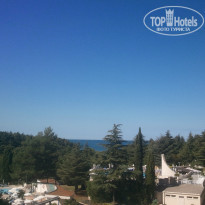 фото из отзыва ID 1566126