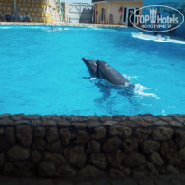 фото из отзыва ID 1566133