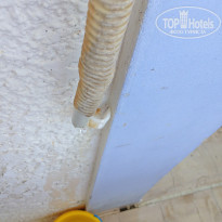 фото из отзыва ID 1566264