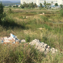 фото из отзыва ID 1566383