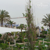 фото из отзыва ID 1566401