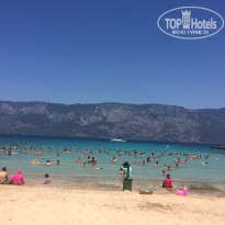 фото из отзыва ID 1566464