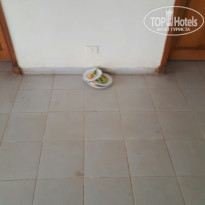 фото из отзыва ID 1566479