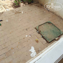 фото из отзыва ID 1566479