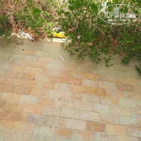 фото из отзыва ID 1566479