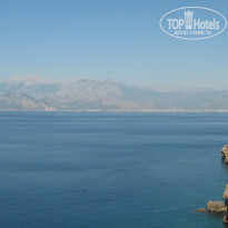 фото из отзыва ID 1566556