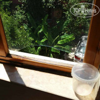 фото из отзыва ID 1566664