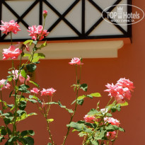 фото из отзыва ID 1566996