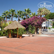 фото из отзыва ID 1566996