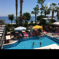 фото из отзыва ID 1567004