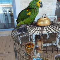 фото из отзыва ID 1567118