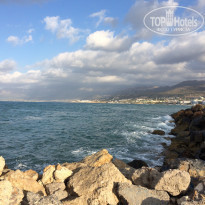 фото из отзыва ID 1567118