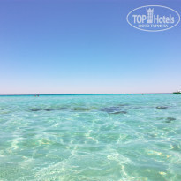 фото из отзыва ID 1567222