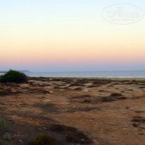 фото из отзыва ID 1567222