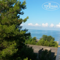 фото из отзыва ID 1567393