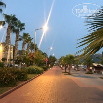 фото из отзыва ID 1567468