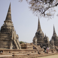 фото из отзыва ID 1567552