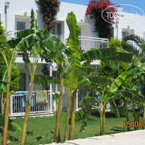 фото из отзыва ID 1567588