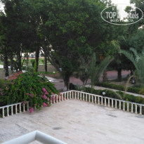 фото из отзыва ID 1567638