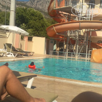 фото из отзыва ID 1567646